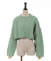 Cropped length knit Pullover(Mint Green-F)