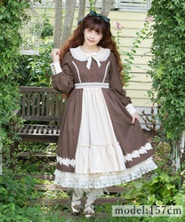 Fairy tale princess  Dress(Brown-F)