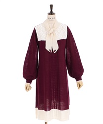 Bowtie Color Knit Dress(Wine-F)